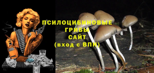 молекула духа Михайлов