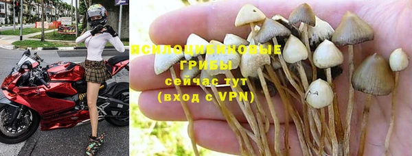 молекула духа Михайловск
