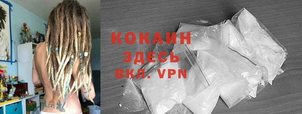 молекула духа Михайлов