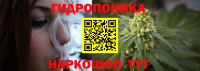 мдпв Ипатово