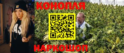 мдпв Ипатово
