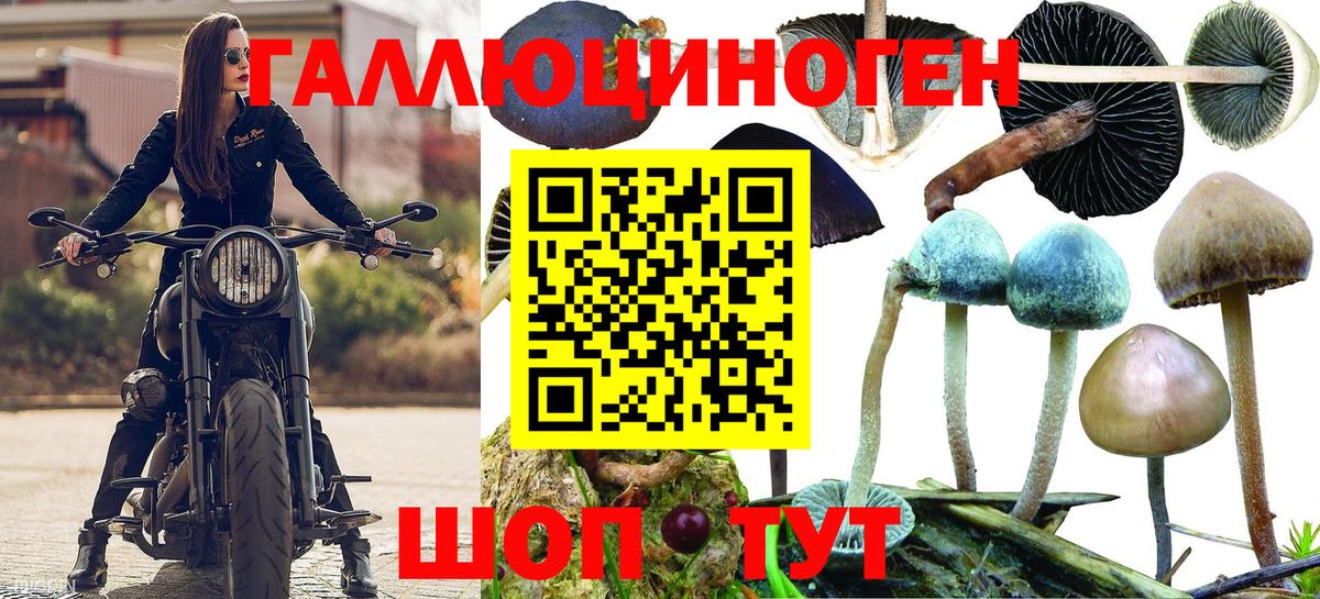 Псилоцибиновые грибы Magic Shrooms  что такое наркотик  Минусинск  Вход с VPN 